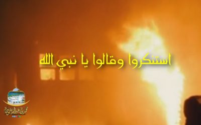 جمهور الأمة من المسلمين مجانين