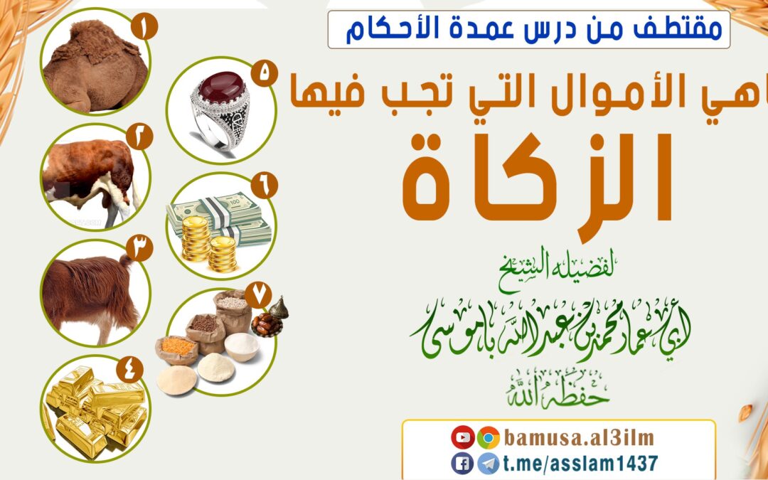 ماهي الأموال التي تجب فيها الزكاة
