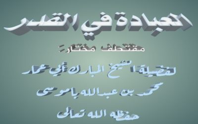 العبادة في ليلة القدر