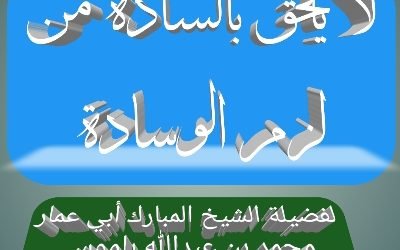 لا يلحق بالسادة من لزم الوسادة